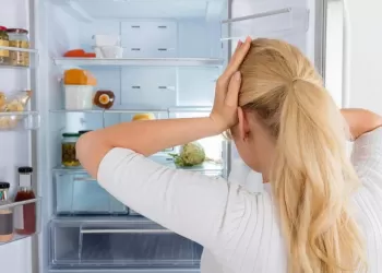 General Electric Buzdolabı Servisi Çağırmadan Önce Yapmanız Gerekenler