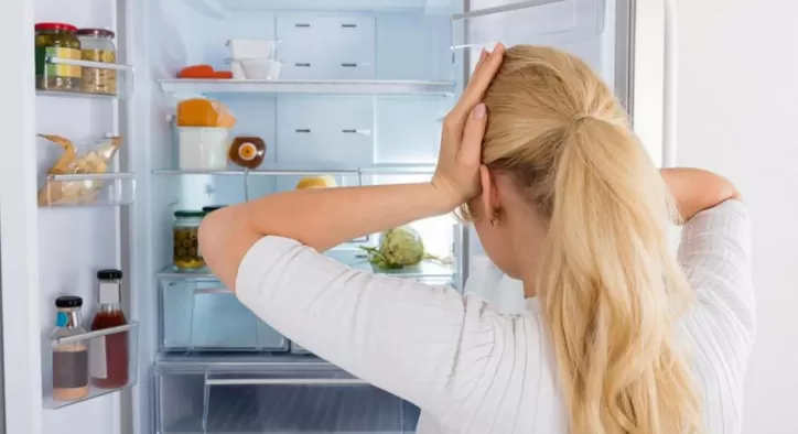 General Electric Buzdolabı Servisi Çağırmadan Önce Yapmanız Gerekenler